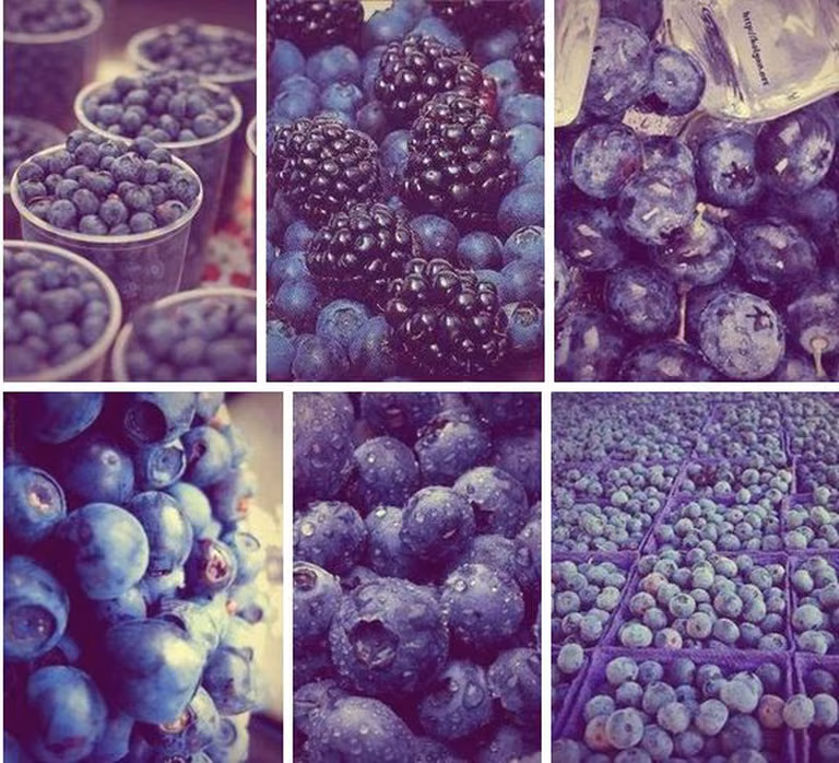 Borówki <3