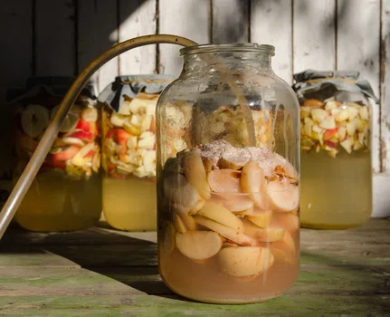 Jak zrobić domowy ocet jabłkowy? Instrukcja krok po kroku
