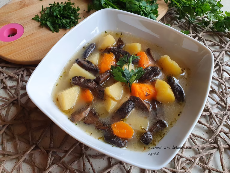 Zupa grzybowa ze świeżych grzybów leśnych