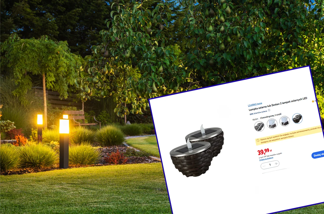 Te lampki solarne z Lidla za 39,99 zł to hit do ogrodu, ale też na Wszystkich Świętych! 8 godzin świecenia, migający płomień i nowoczesny look