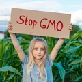 Międzynarodowy Dzień Opozycji Przeciw GMO: Zrozumieć Kontrowersje
