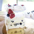 Tort z kremem maślanym na bezie szwajcarskiej