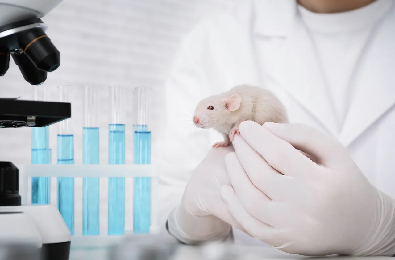 Światowy Dzień Zwierząt Laboratoryjnych: Refleksja nad Etyką i Alternatywami