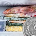 Wyjeżdżasz na dłuższe wakacje? Nie zapomnij o teście z monetą!