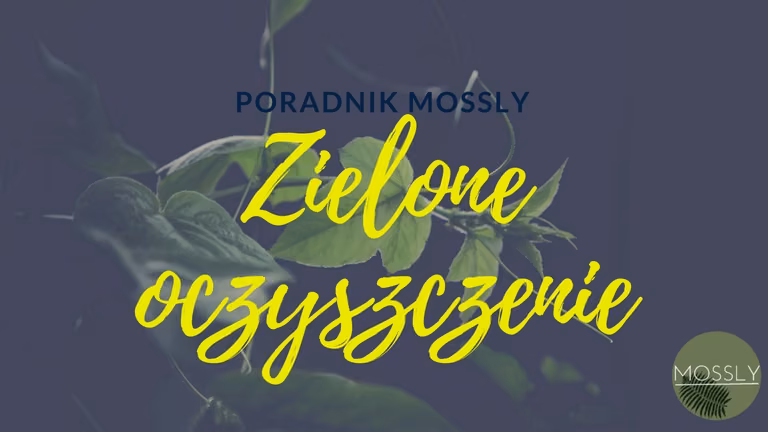 Rośliny oczyszczające powietrze – oficjalny przewodnik (+Infografika!)