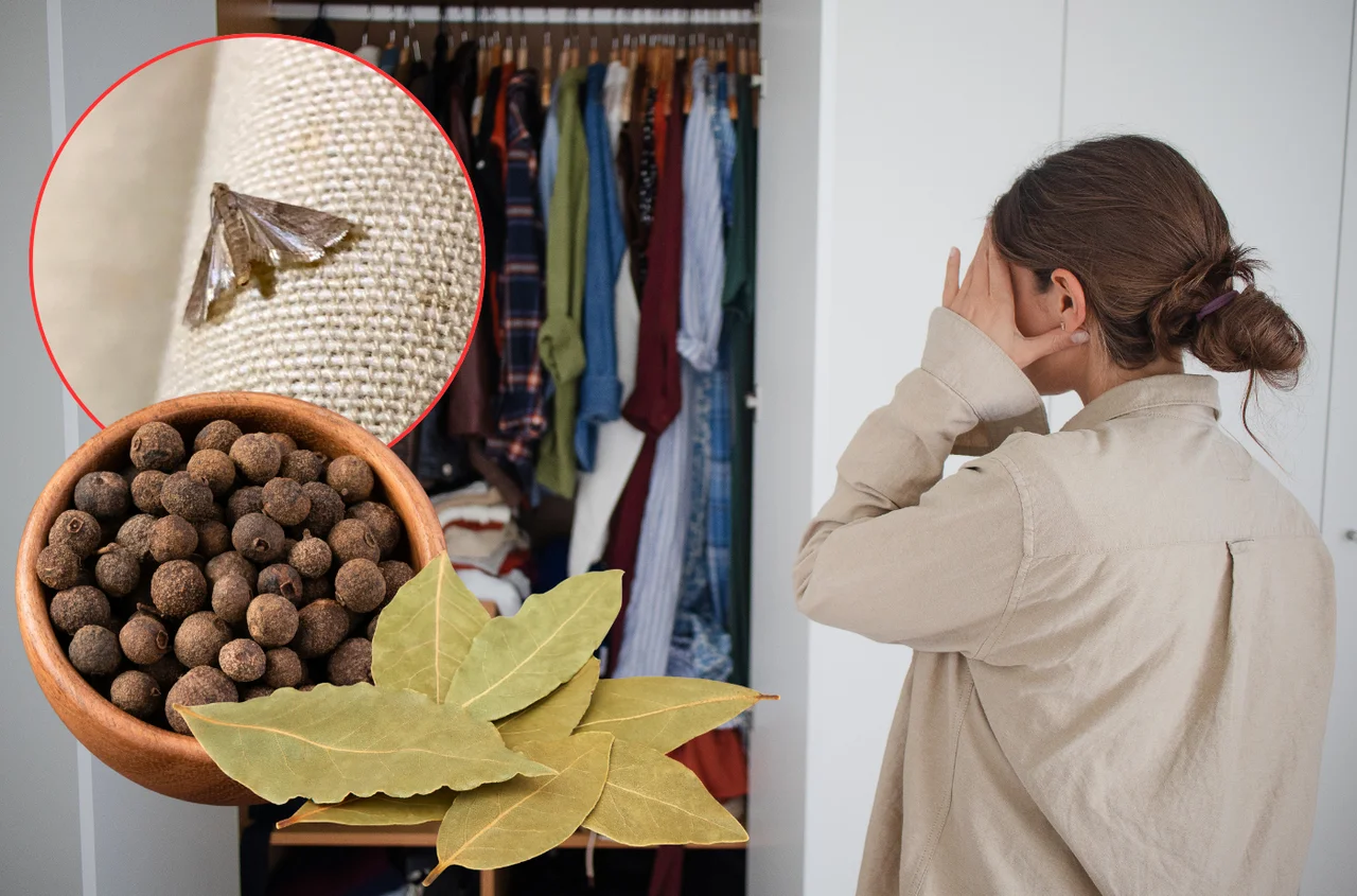 Zrób woreczek z zielem angielskim i liściem laurowym – pozbędziesz się moli i nieprzyjemnych zapachów!