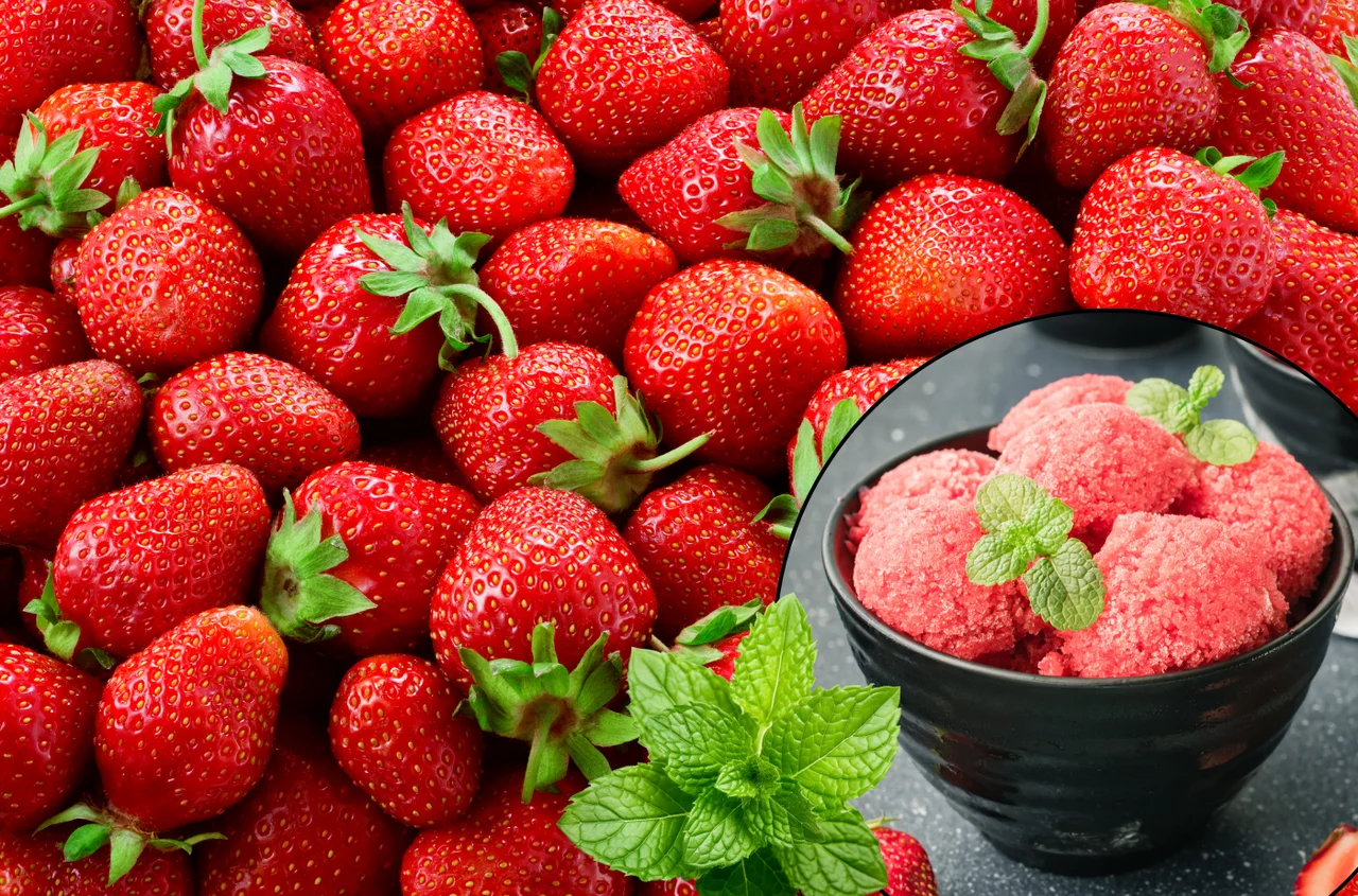 Zblenduj truskawki z tym ziołem! Zdrowy sorbet jak z lodziarni w 3 minuty!