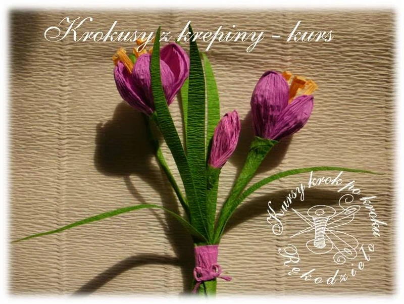 Krokusy z krepiny - DIY