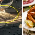 Karp – poznaj kilka faktów, które zaskoczą każdego!