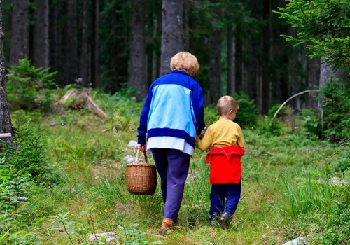 Pojechałam na grzyby, gdy weszłam do lasu to zalałam się łzami! "Czy ludzie stracili serce?" pyta Maria. [LIST]
