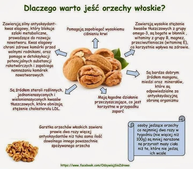 Orzechy włoskie