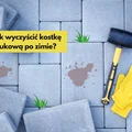 Czyszczenie kostki brukowej z mchu, oleju czy innych substancji. Poznaj nasze sposoby!