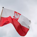 Godło Polski. Jaki ptak na nim widnieje? Odpowiedź może zaskoczyć!