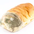 Czy wystarczy odkroić pleśń z chleba, by bezpiecznie móc go zjeść?