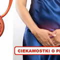 Tego o swoim PĘCHERZU na pewno nie wiedziałaś!