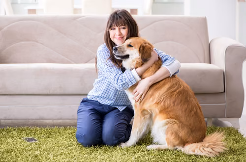 Nawet 700 zł dla osób adoptujących psa lub kota! Nowy program wsparcia