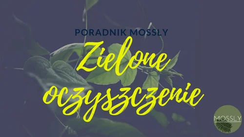 Rośliny oczyszczające powietrze – oficjalny przewodnik (+Infografika!)
