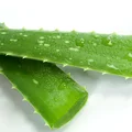 Jak stosować aloes na włosy?