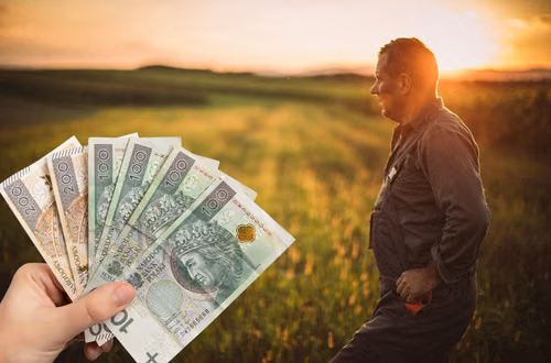 Polskie rolnictwo w kryzysie! Minister zapowiada miliardowe wsparcie