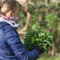 Czy pokrzywa naprawdę działa? Sprawdź, kiedy pomaga, a kiedy może zaszkodzić