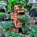 Skalniak ze starych skrzynek