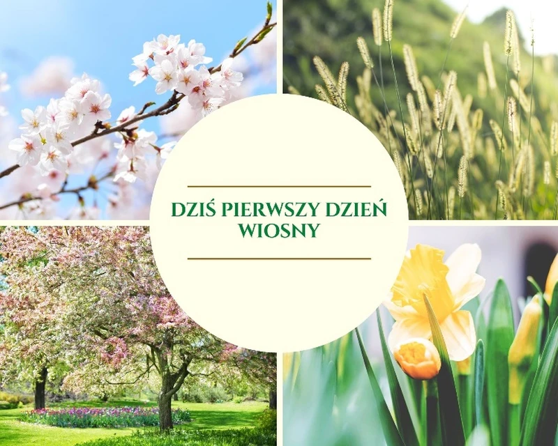 Pierwszy dzień wiosny już dziś !