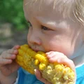 Kukurydza może powodować wzdęcia i problemy jelitowe! Kto powinien jej unikać?