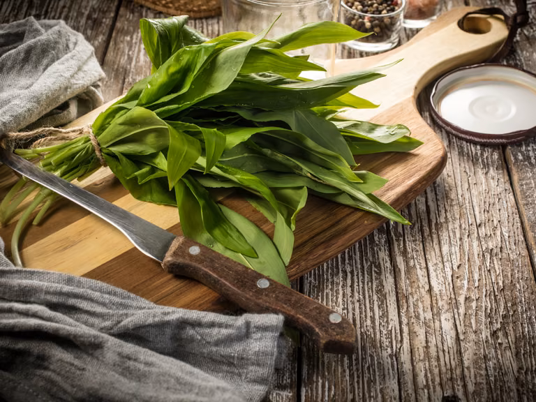Pesto z czosnku niedźwiedziego- jak je zrobić i dlaczego warto je jeść?