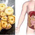Sprawdź, co stanie się z twoim organizmem po zjedzeniu 6 pieczonych ząbków czosnku