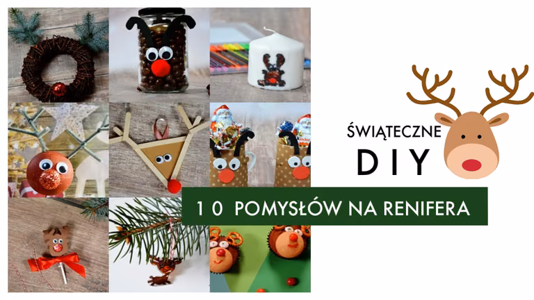 10 pomysłów na reinfera