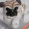 tort mops