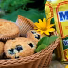 Muffinki z mascarpone i borówkami