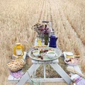 Piknikowe szaleńśtwo