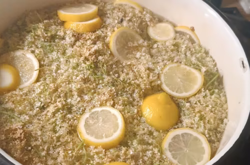 Gotuję kwiaty czarnego bzu z cytryną i cukrem. Powstaje aromatyczny syrop, który Polacy robią od pokoleń