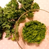 Pesto z jarmużu