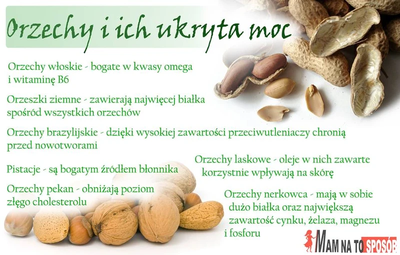 Jakie właściwości kryją się w orzechach?