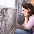 Dlaczego warto codziennie wietrzyć mieszkanie? Nawet jesienią i zimą