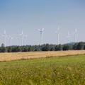 Będziemy płacić mniej za prąd?! Rząd planuje zmiany w energetyce wiatrowej!