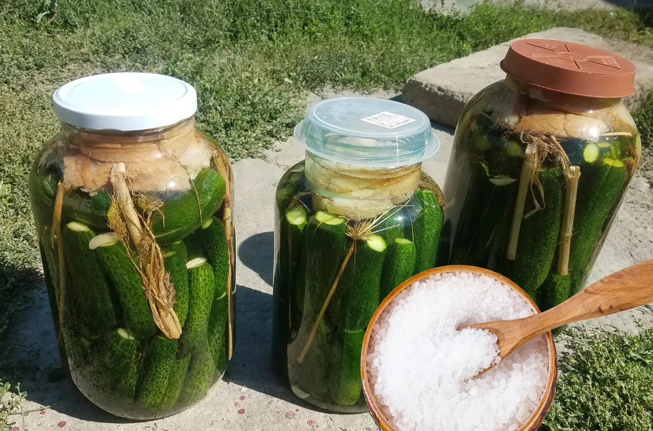 Nigdy nie używaj tej soli do kiszenia! Ten błąd zniszczy ogórki kiszone!