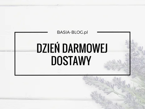 Dzień Darmowej Dostawy 2017