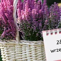 Kartka z kalendarza: 28 września - imieniny, gwiazdy, nietypowe święta! Odkryj sekrety tego dnia!