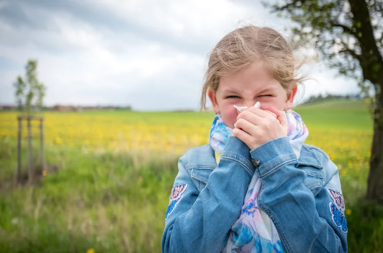 Zdjęcie Co pyli w czerwcu? Sprawdź, czy Twoje objawy to wina alergii! #1