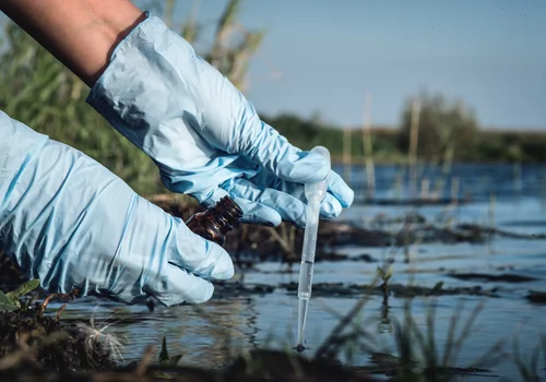 Nowa nadzieja dla polskich rzek! Polscy eksperci ogłaszają przełom w walce z algami!