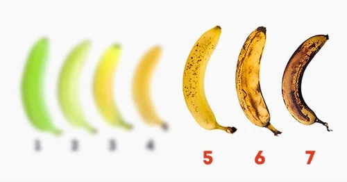 6 niezwykłych właściwości bananów, które musisz poznać!