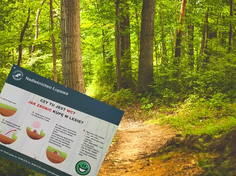 Jak zrobić kupę w lesie? Instrukcja od Lasów Państwowych podbija internet!