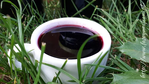 Syrop z owoców czarnego bzu
