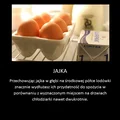 Tak przechowuj jajka!
