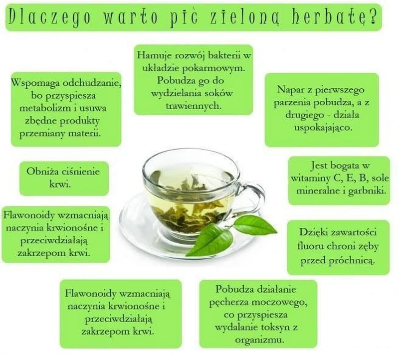 Dlaczego warto pić zieloną herbatę?