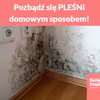 Pozbądź się PLEŚNI domowym sposobem!
