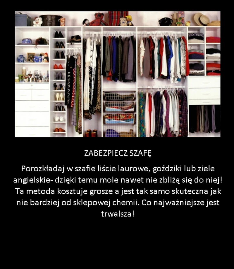 Zabezpiecz szafę przed molami!